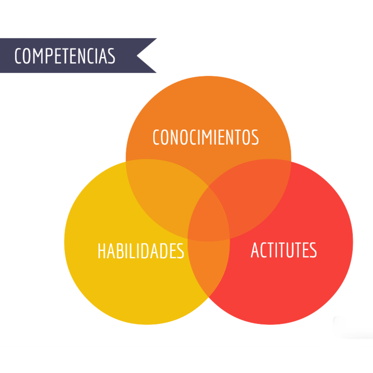 Diseño sin título (8)